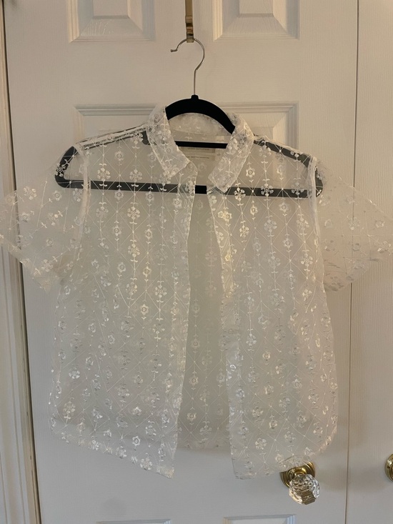 Urban Outfitters Tops - Urban Outfitters White Sheer Embroidered Button-Down Shirt
